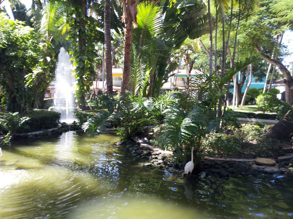 Teich vor der Rezeption Grand Palladium Select Bávaro Resort & Spa