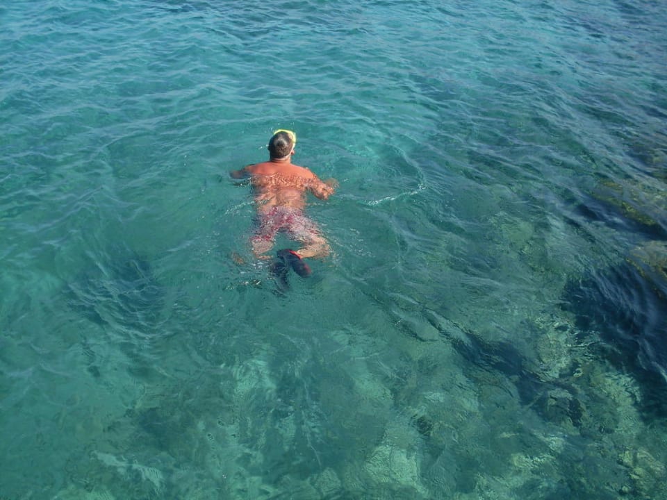 Nurkowanie Hotel Horizon Beach