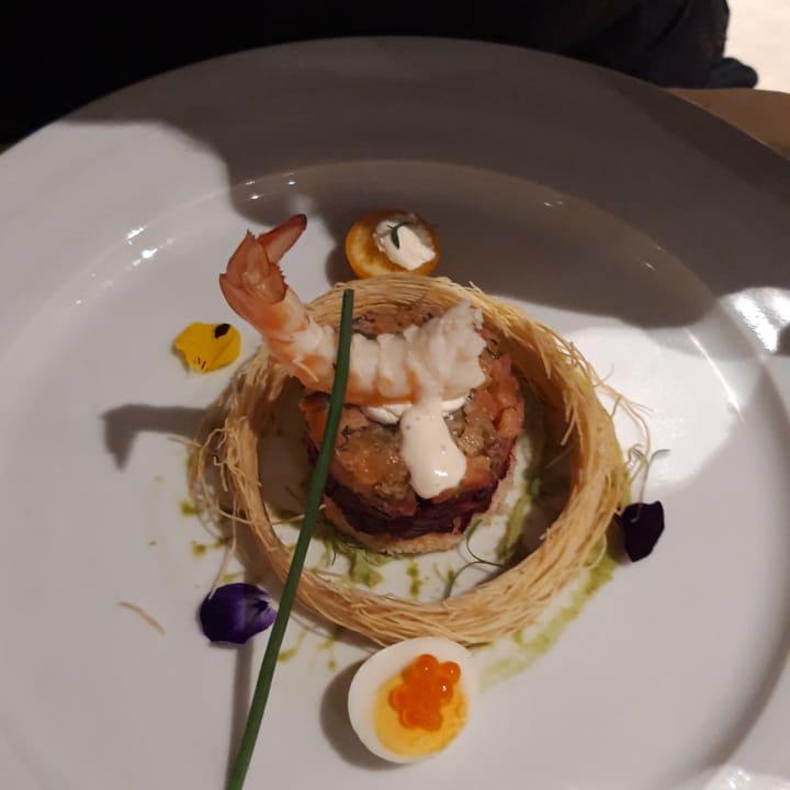 Gastro Acanthus Cennet Barut Collection