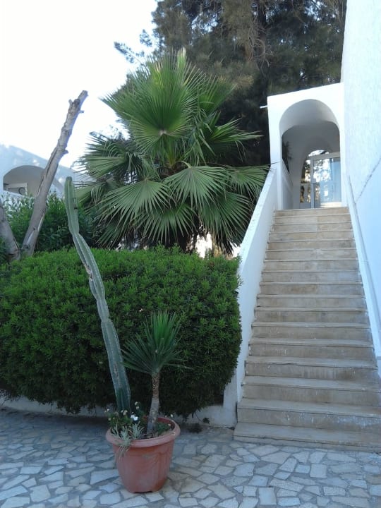 Вход в корпус The Club Hammamet