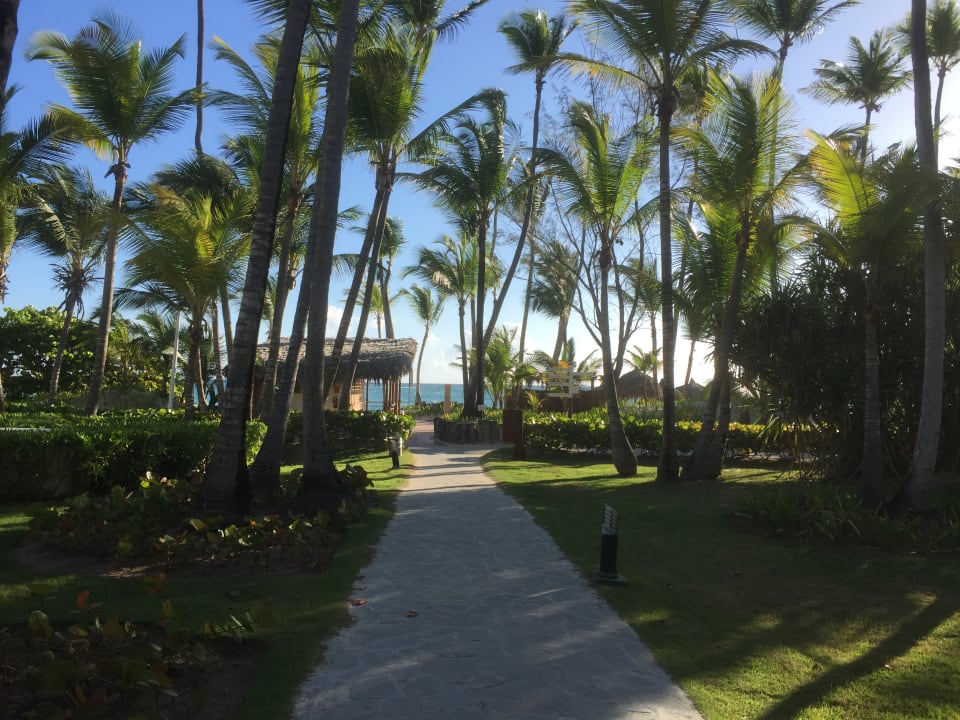 Gartenanlage Hotel Grand Palladium Palace Resort, Spa & Casino