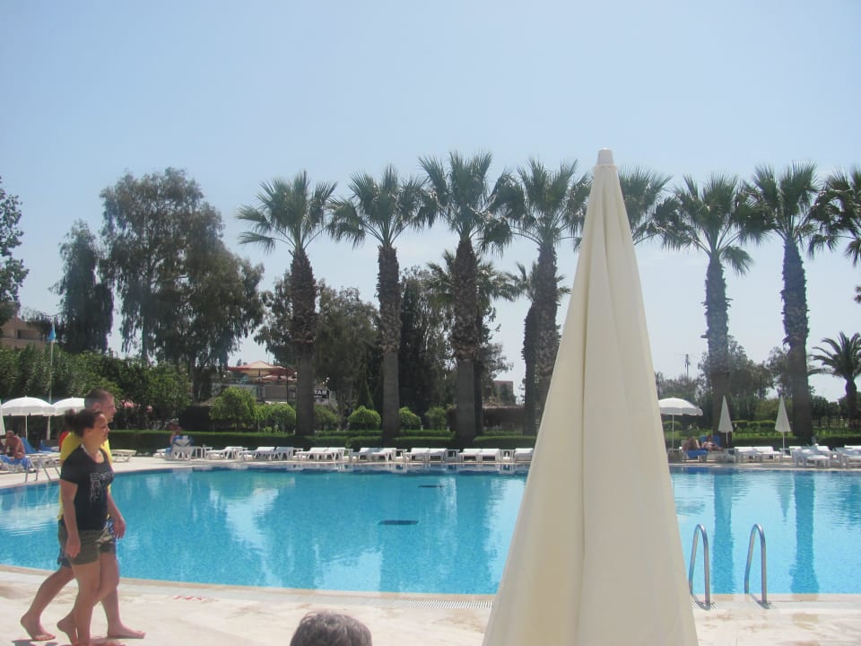 Super Pool Asteria Collection Side