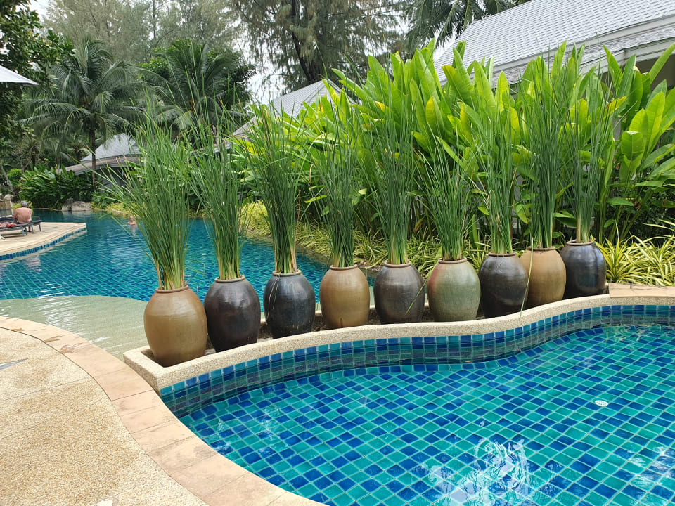 Pool Moracea by Khao Lak Resort