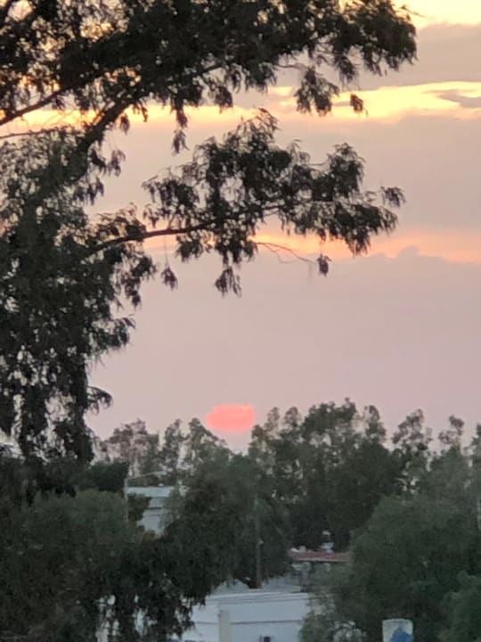 Außenansicht Vasia Royal Hotel