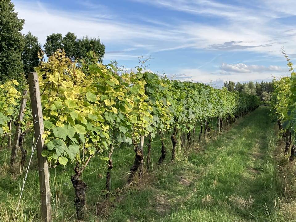 Gartenanlage Gutshotel Baron Knyphausen