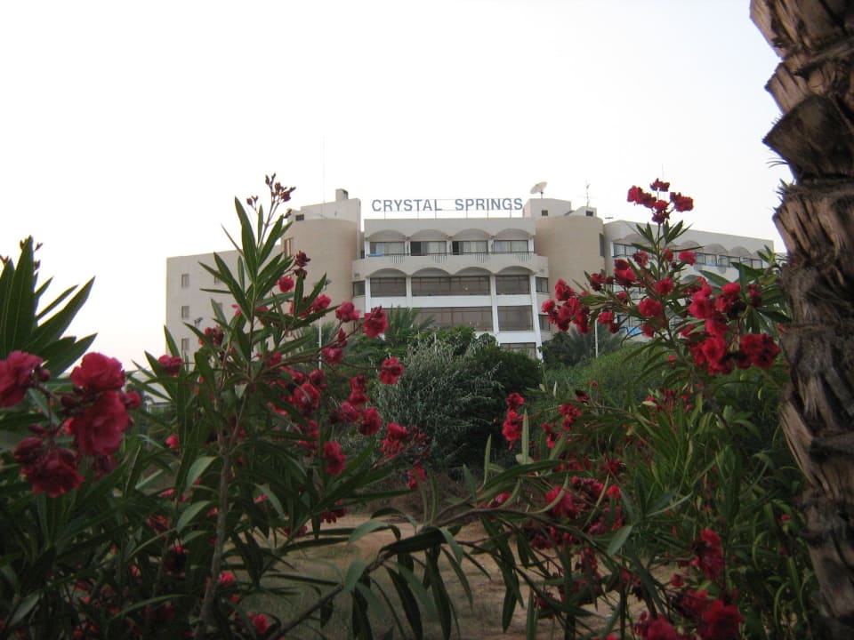 Hotel von Straßenseite Crystal Springs Beach Hotel