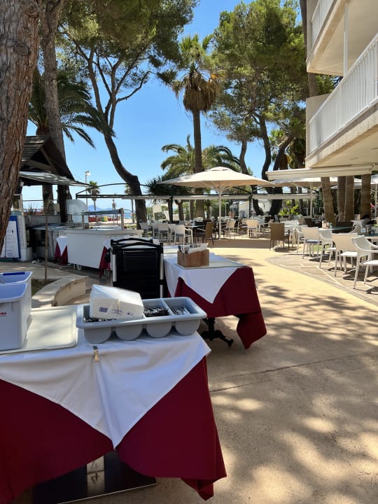 Gastro allsun App.-Hotel Orquidea Playa