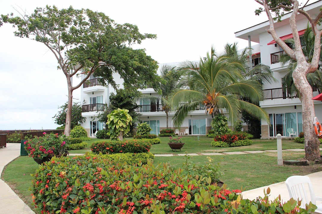 Alles schön grün und gepflegt Decameron Baru