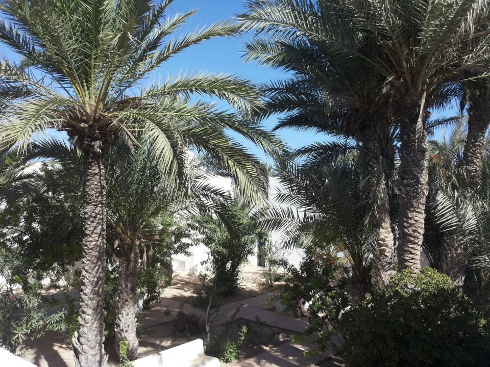 Blick von der Dachterrasse in den Innenhof Hotel El Mouradi Djerba Menzel