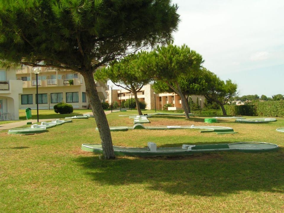 Minigolf blau punta reina