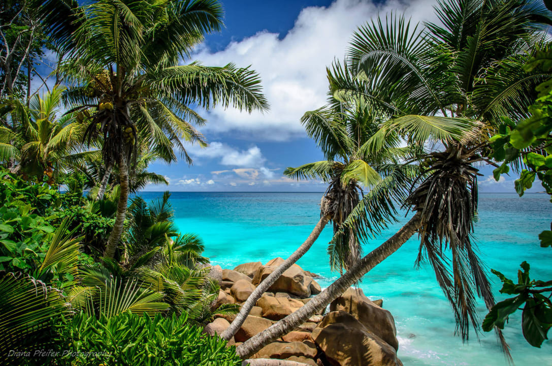 Anse Patates Hotel Patatran Village