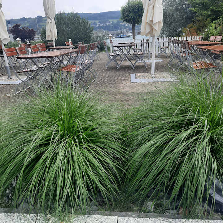 Ausblick Hotel Höri am Bodensee