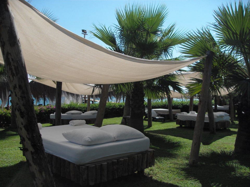 Luxusboxen am Strand Balmy Foresta