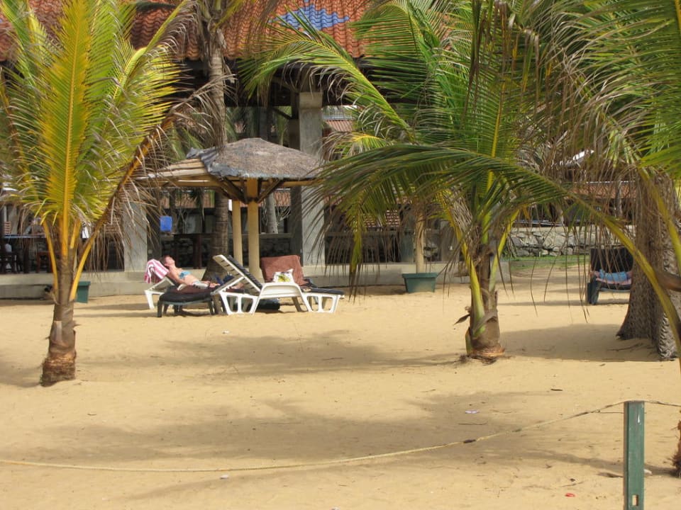 Außenanlage  Goldi Sands Hotel