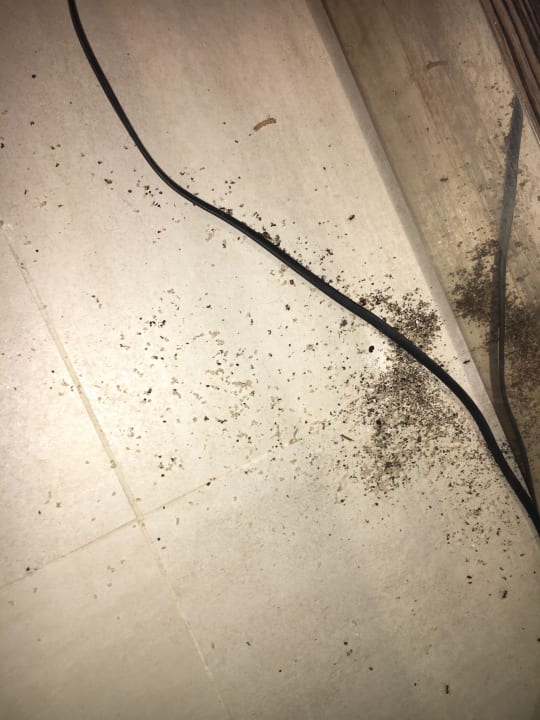 Zimmer MLL Palma Bay Club Resort