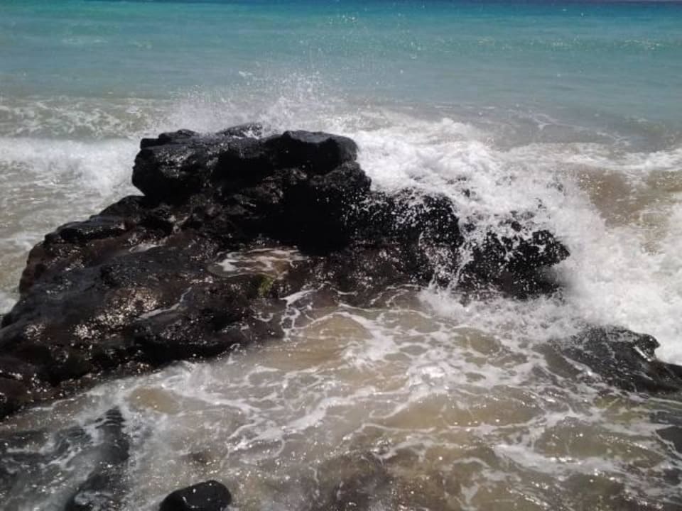 Sand und Steinstrand TUI MAGIC LIFE Fuerteventura