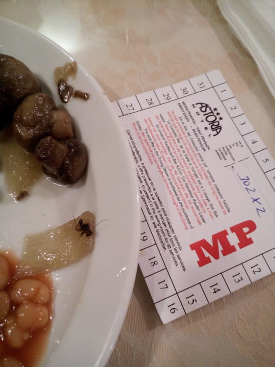 Insekt im Abendbuffet im Hotel Astoria, Las palmas Bull Astoria