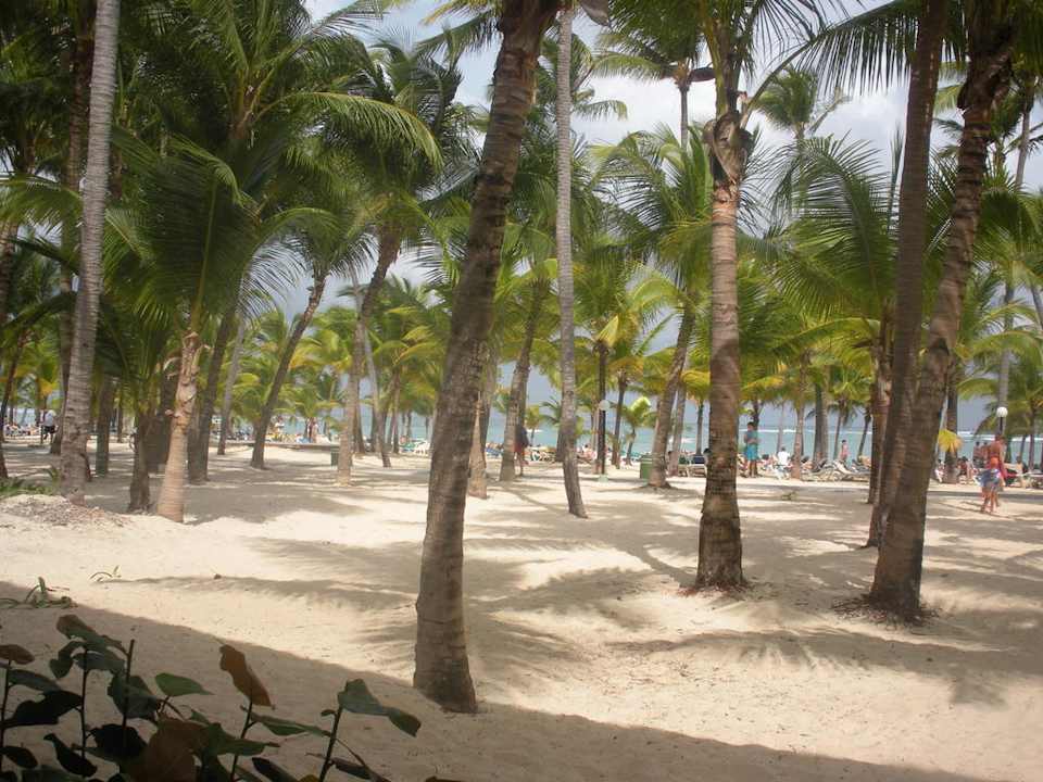 Blick beim Mittagessen von Mama Juana aufs Meer Hotel Riu Bambu