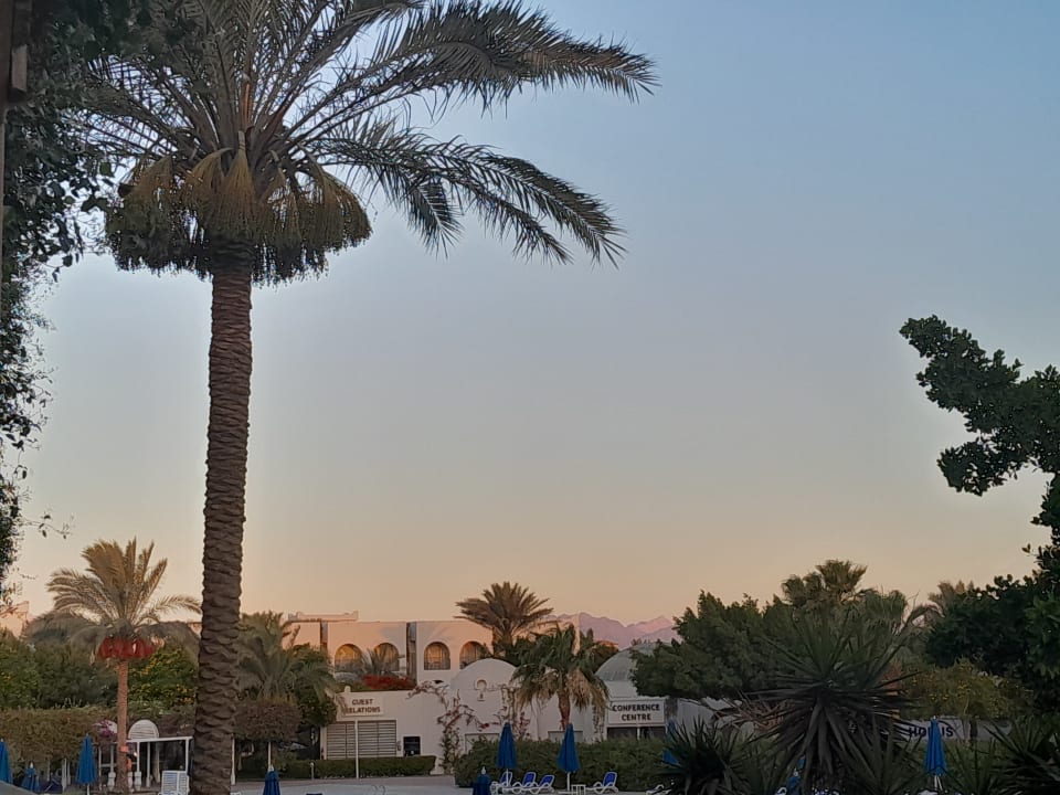 Ausblick Desert Rose