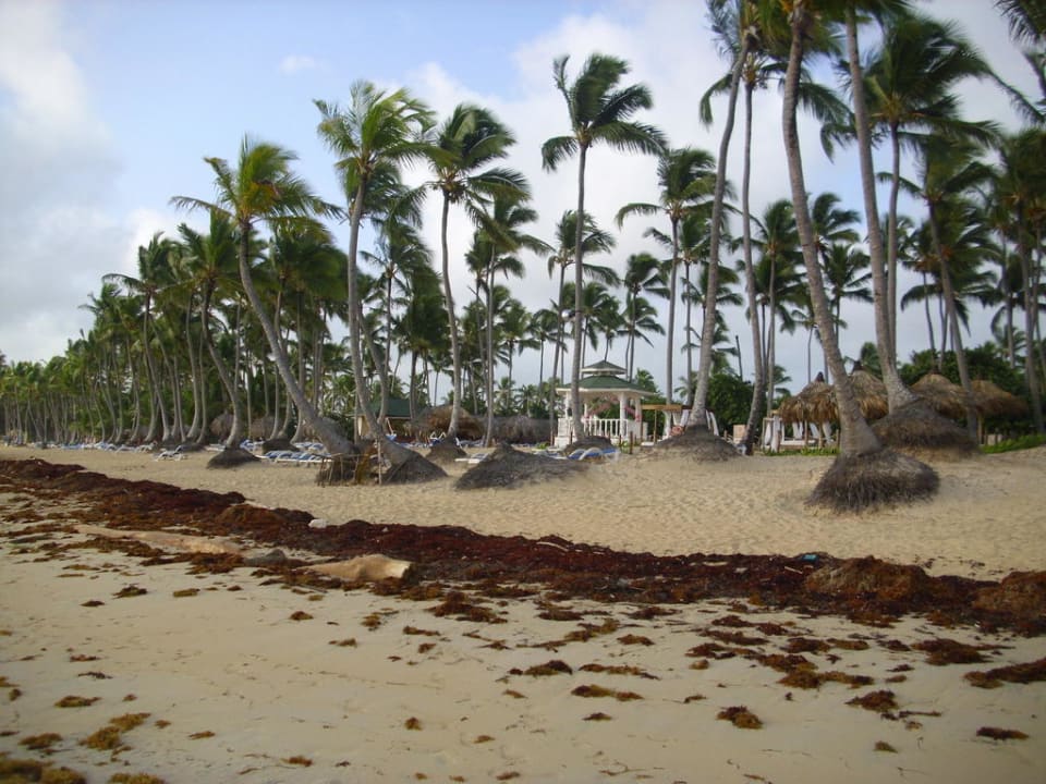 Algen Grand Sirenis Punta Cana Resort & Aquagames