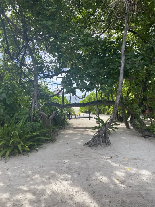 Ausblick NH Collection Maldives Reethi Resort