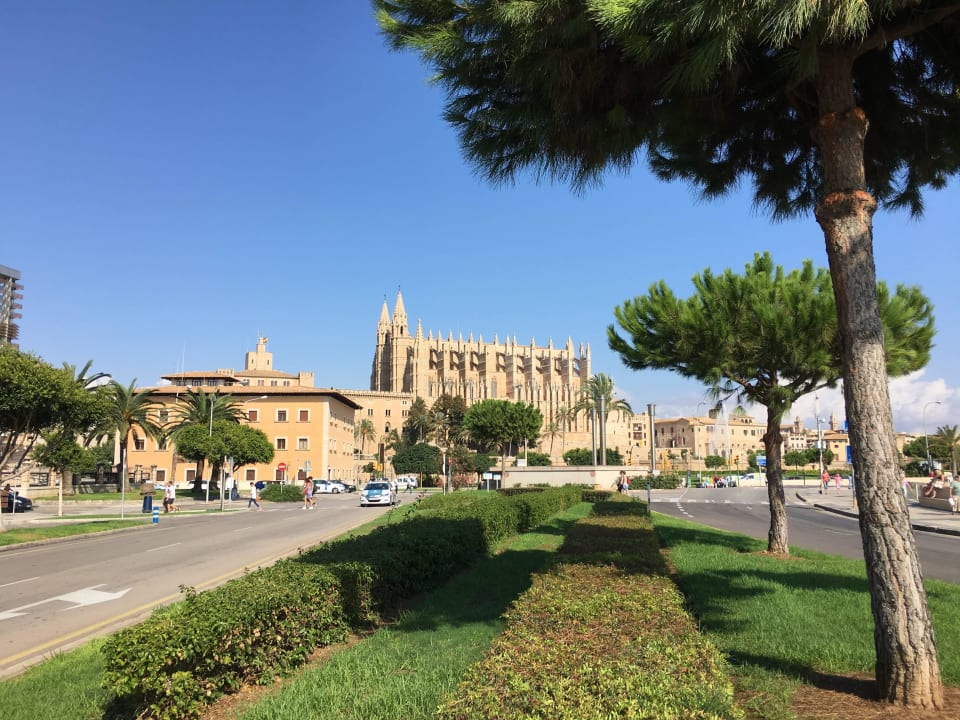 Palma Sabina Hotel & Suites