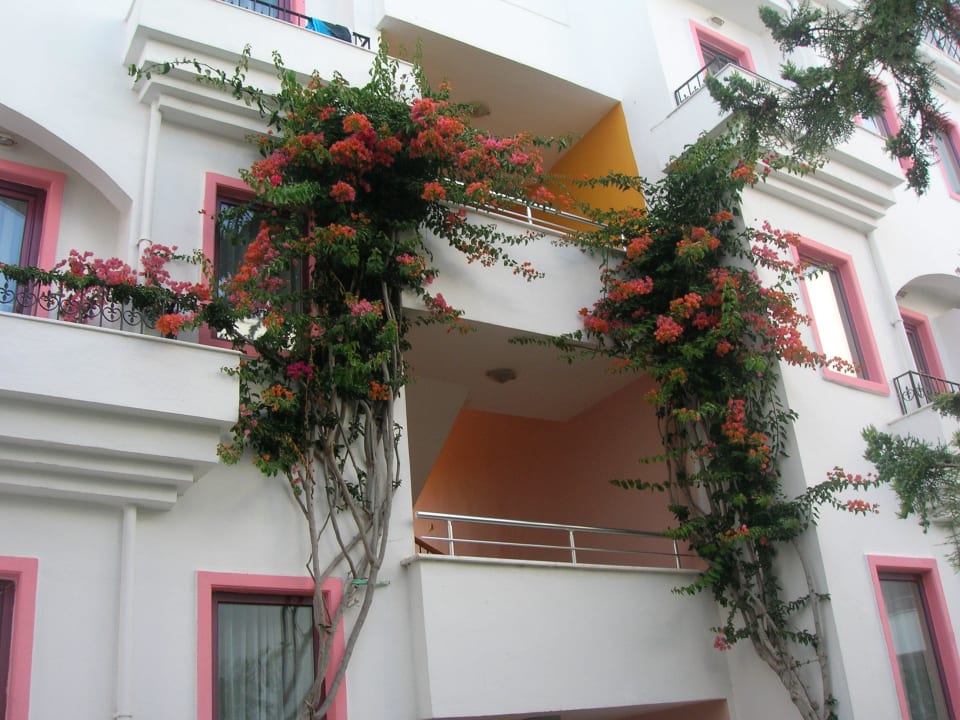 Wygląd zewnętrzny hotelu Golden Beach Bodrum