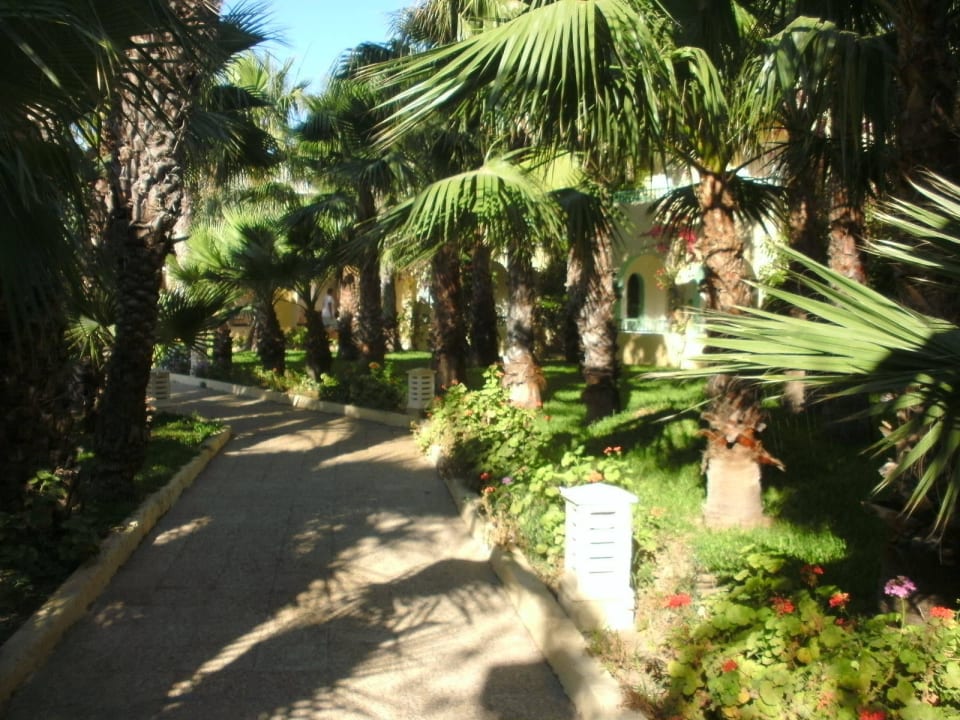 Weg von Lobby zum Restaurant The Ksar Djerba Charming Hotel & SPA