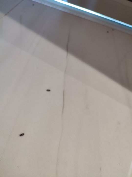 Zimmer Laguna Holiday Resort