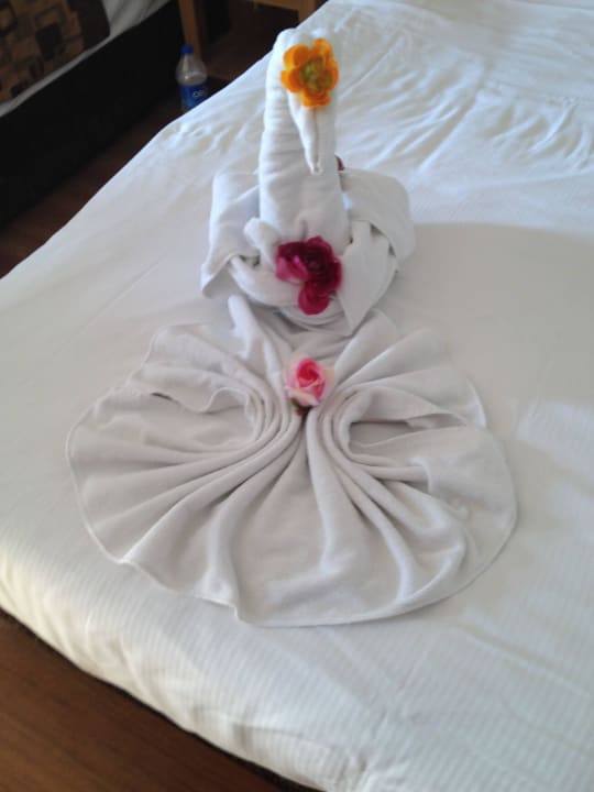 Schwan auf dem Bett Sunis Kumköy Beach Resort Hotel & Spa