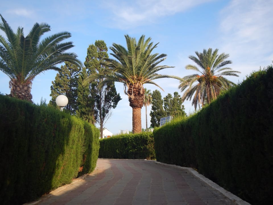 Weg zwischen den Bungalows Royal Lido Resort & Spa