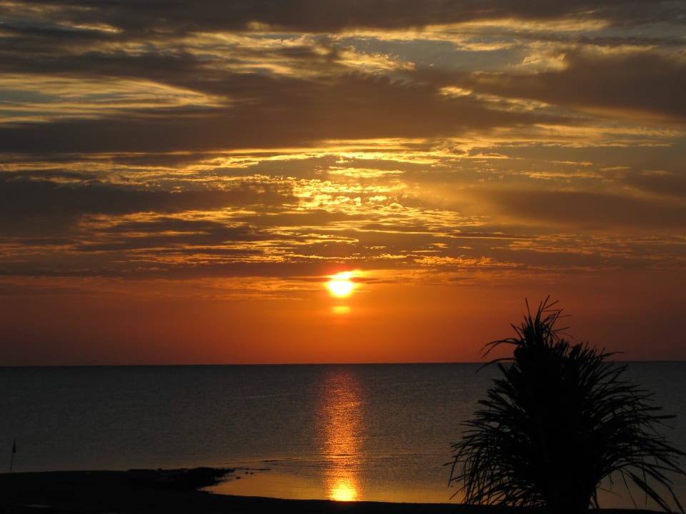 Sonnenaufgang Shams Prestige Abu Soma-Adults Only