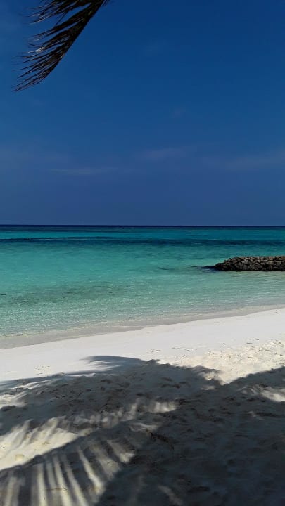 Ohne... Summer Island Maldives