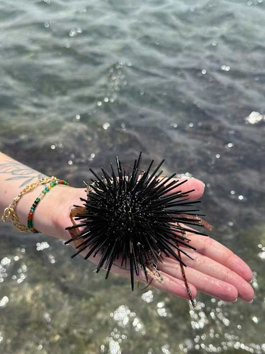 Strand Neptune Village Beach Resort & Spa