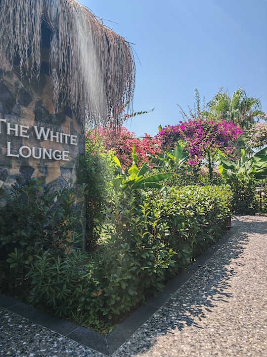 Gartenanlage Rubi Platinum Sign