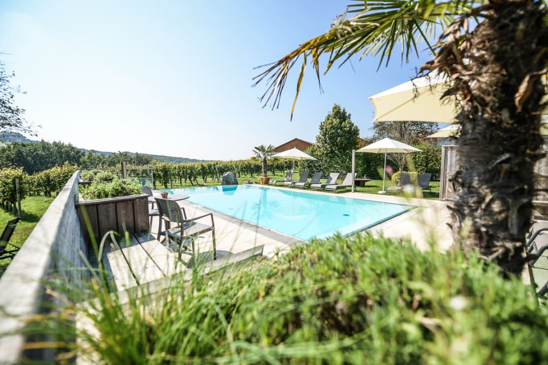 Pool Weingut Krispel Gästezimmer