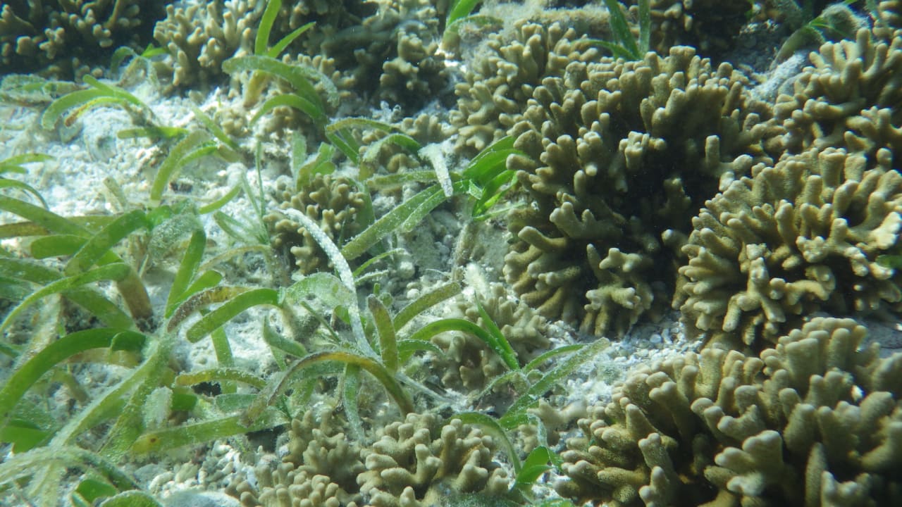 Sonstiges Adaaran Select Hudhuran Fushi - Premium All Inclusive