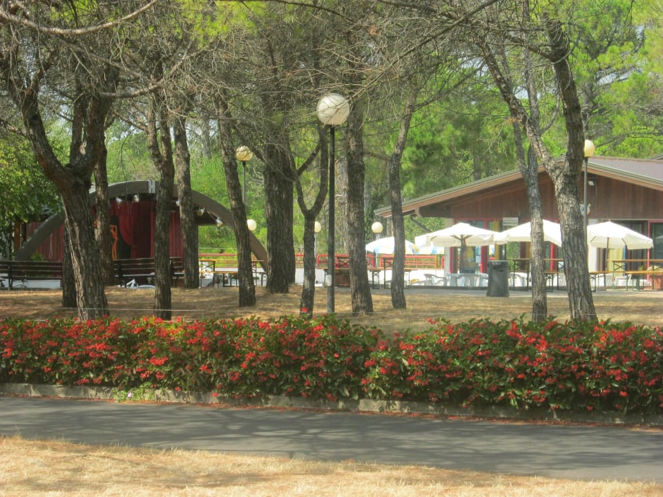 Eingangsbereich Belvedere Pineta Camping Village