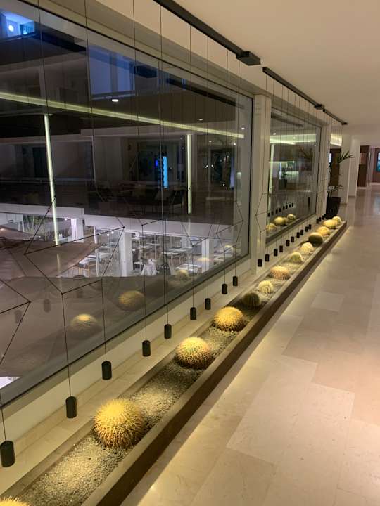 Lobby alltoura Club Hotel Akeah Broncemar