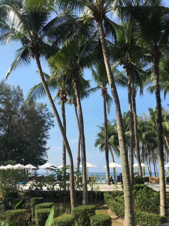 Gartenanlage Dusit Thani Krabi Beach Resort