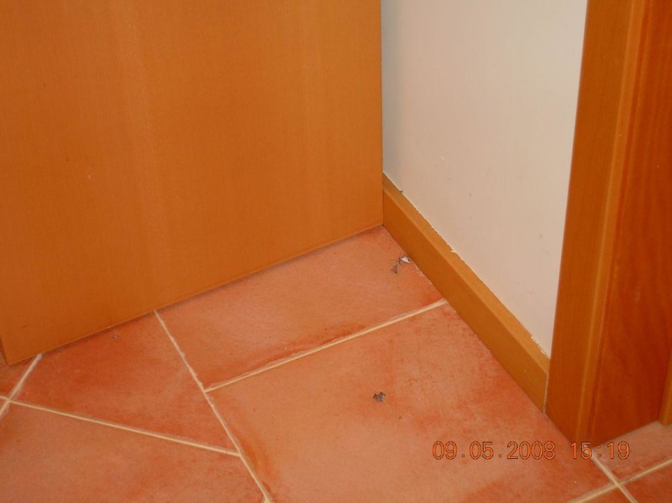 Der Dreck in der Ecke AP Victoria Sports & Beach