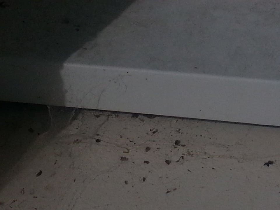 Insektenreste und Spinnweben an Fenster und Terrasse Hotel Residence Domaine des Sables