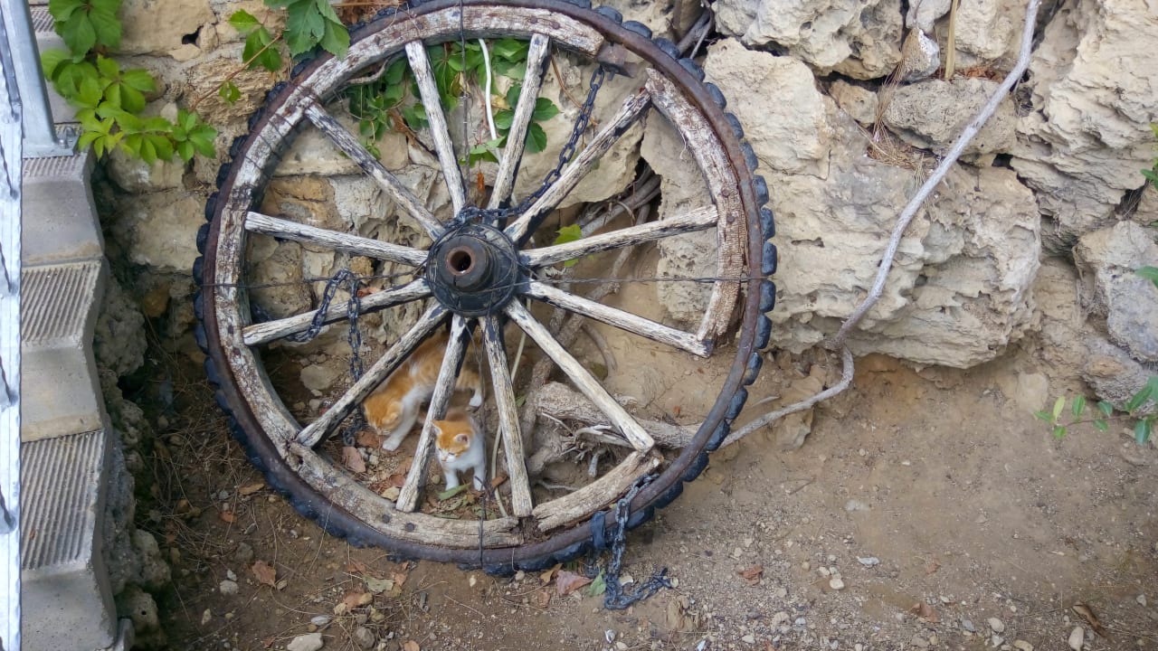 Außenansicht Falcon Hotel