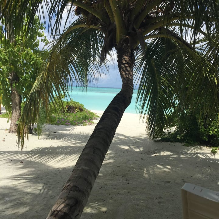 Ein Traum vom Paradies Summer Island Maldives