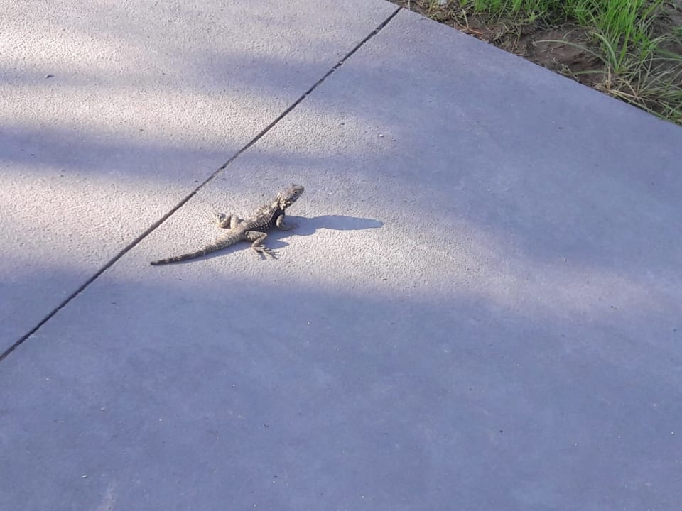 Sonstiges Rodos Princess Beach Hotel & Spa