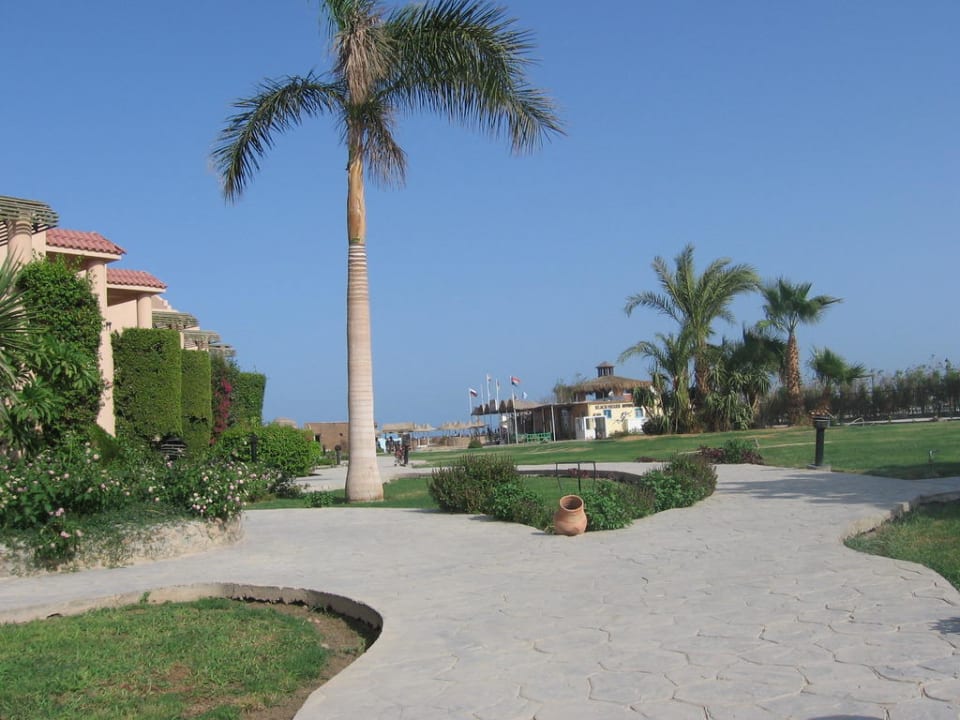 Выход к пляжу Ali Baba Palace Hotel