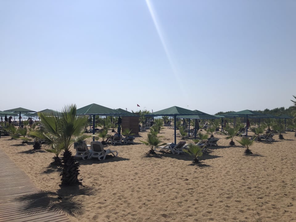 Strand Paloma Oceana