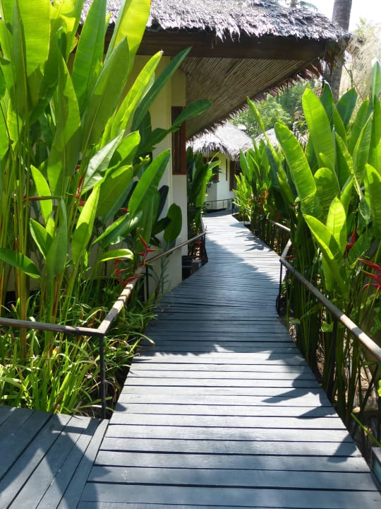 Zu den Zimmern Bangsak Village