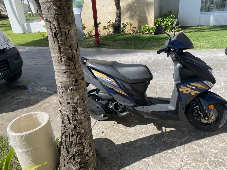 Zimmer Grand Bávaro Princess