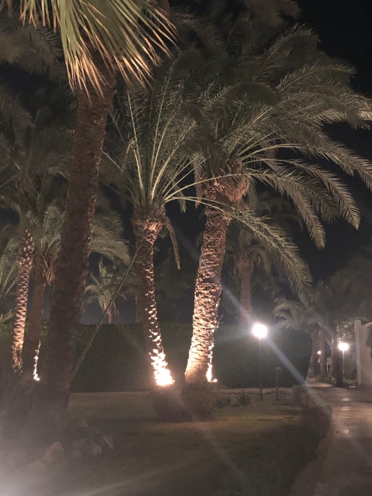 Gartenanlage Menaville Safaga